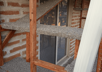 A patio converted into a "catio"